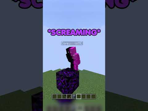 Talking isn't allowed here #shorts #minecraft #minecraftshorts