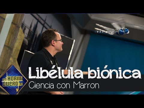 Marron sorprende a Mónica Naranjo con la libélula biónica - El Hormiguero 3.0