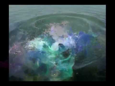 Under The Sea - Marisol Celestia