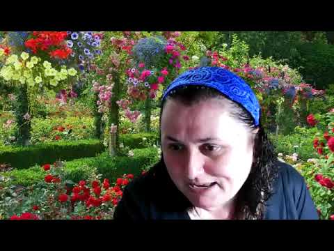 Rugaciunea lui Iaebet  (Partea a 2a)