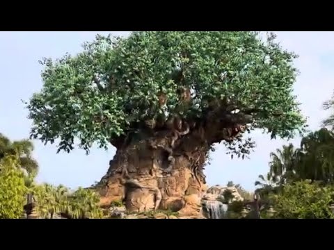 ANIMAL KINGDOM: Nature & Animals RULE at #disneyworld #wdw FAST & FURIOUS #fun @PawpawSammyAlyBug