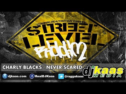 Charly Black - Never Scared [Raw] March 2014 [Street Level Riddim - So Seriuz Prod] Dancehall