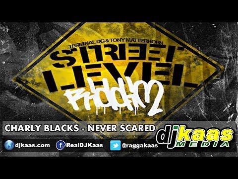 Charly Black - Never Scared [Raw] March 2014 [Street Level Riddim - So Seriuz Prod] Dancehall