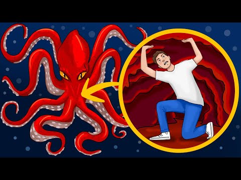 Was wäre, wenn der Kraken dich mit Haut und Haar verschlingt