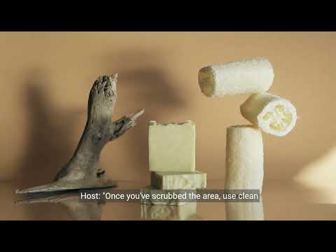 How to Remove Dead Animal Odor?