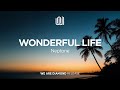 Neptone Wonderful Life