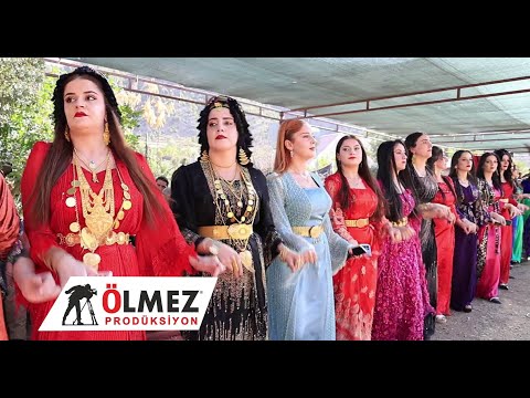 ŞİYAR BERWARİ YENİ GOVENDA KURDİ BOTANİ GUNDE ELEMUN kurdısh wedding Lokman Payiz