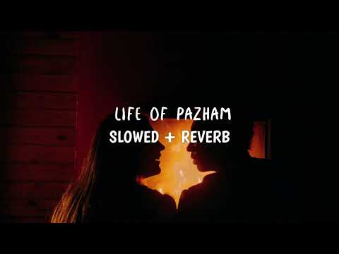 Life of Pazham (slowed + reverb) (From "Thiruchitrambalam")