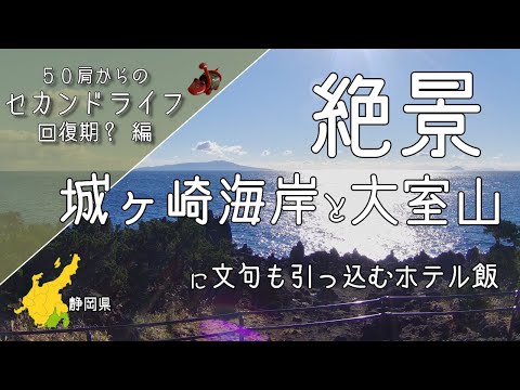 YouTube動画を再生