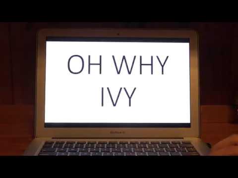 Ivy - Model City