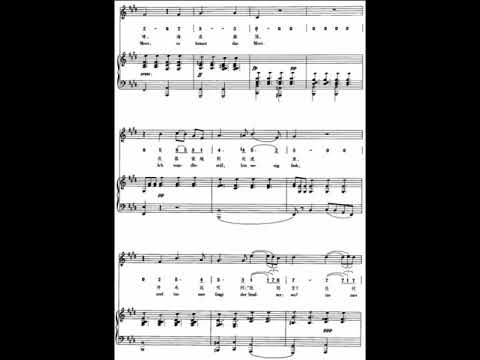 Der Wanderer piano accompaniment music  钢琴伴奏音乐  流浪者之歌