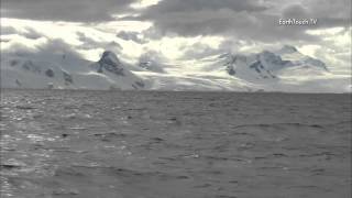 Cocteau Twins - How to Bring a Blush to the Snow