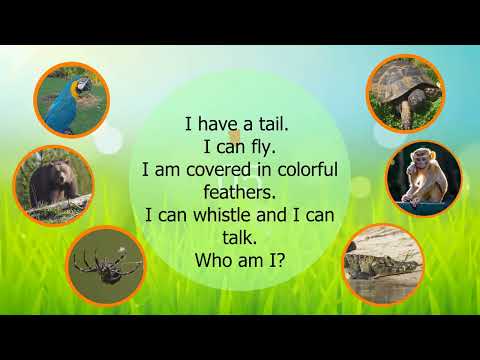 Guess the Animal Game. Animal Riddles