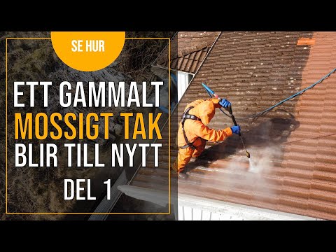 Taktvätt i Göteborg: Förberedelser och Hur Vi Tar Bort Mossa