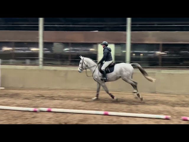Under the saddle