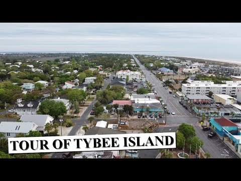 YouTube video about: Are dogs allowed on tybee island beach?