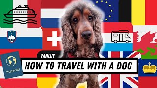 How to travel with your dog from UK to Europe | Vanlife Edition