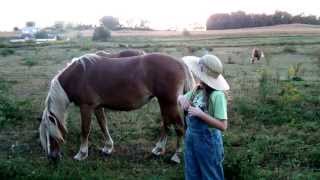 Shirley Temple&#39;s &quot;Old Straw Hat&quot; performed by 9 year old Christiana