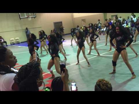 Black Sapphire Dance Company Parade