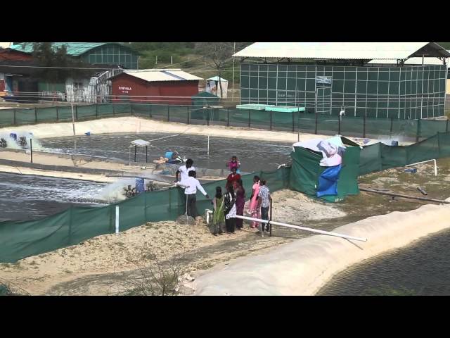 Tamil Nadu Fisheries University vidéo #1