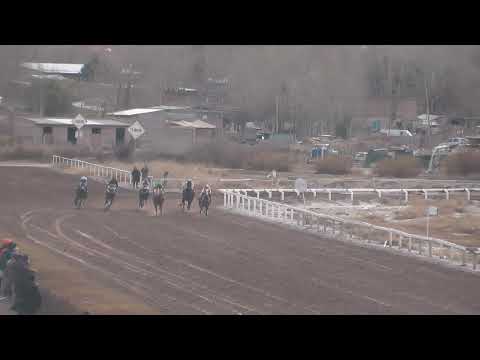 Décima tercera carrera, Premio Potrillos Debutantes Puros, distancia 1000 metros