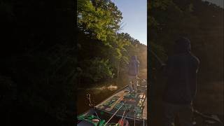 Was itching for the tug since we had 2 weeks of bad weather #bassfishing #fishing #fyp #outdoors #fy
