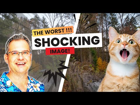 This Turned Out Way Better Than Expected 📷