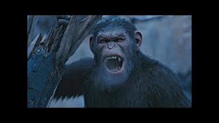 &quot;Leave Him!&quot; Scene | War for the Planet of the Apes (2017)#LOWI