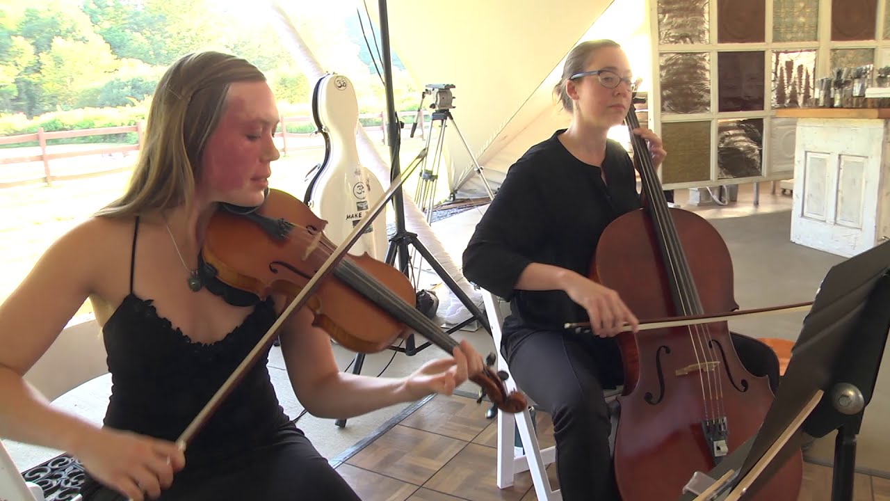 Promotional video thumbnail 1 for Appalachian String Duo