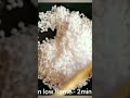 Javvarisi Laddu Sago Laddu