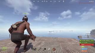 練習の模様【RUST】