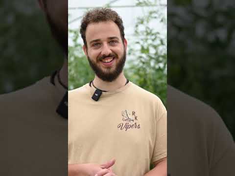 Olde Vechte - Why Community Gardening? (2) | Active Collective