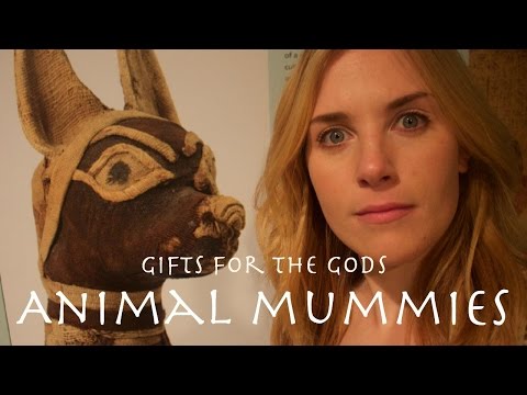 Ancient Egyptian Mummified Cats?! | Gifts for the Gods| Maddie Moate