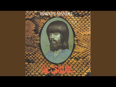 Harvey Mandel - The Best Of Harvey Mandel - PROMO - 1975 Janus, VG/VG+