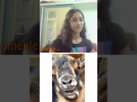 Khatam Tata Bie Bie 😂😂 #shorts #short #omegle