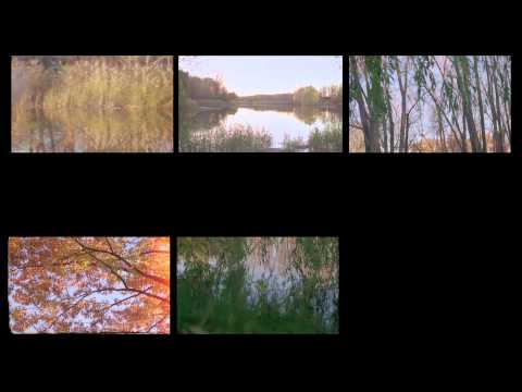 Evening Hymns-Spectral Dusk-Album Teaser 3