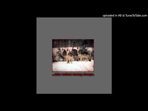 Hishiryo - Tomik Mangier