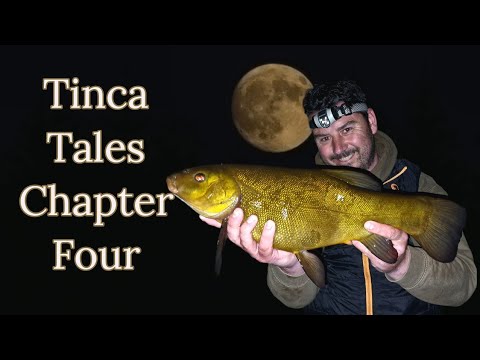 Tinca Tales | Chapter Four | How to feeder fish for Tench & Bream | Night fishing