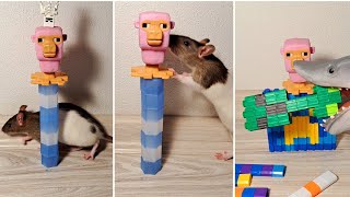 Rat 🐀 Lego Playing Funny Satisfying Screaming ASMR 🐀🔥🌈