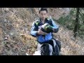 Rescuing Himalayan Monal Manali