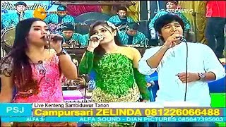 Download lagu LAGU TERPOPULER (Banyu Langit ft Sawangen ft Stell Kendo) ZELINDA TERBARU 2017 mp3