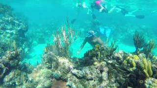 preview picture of video 'Snorkeling in Roatán, Honduras - December 2013'