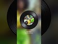 Xee Mayee by Belostary, Nice Life | Escapist Blog Music