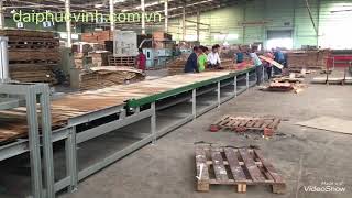DÂY CHUYỀN SẢM XUẤT VÁN ÉP PLYWOOD, VÁN GỖ DÁN