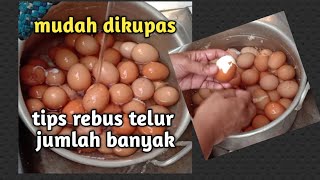 Download lagu CARA MUDAH MEREBUAT TELUR | JUMLAH BESAR | MUDAH DIPAKAI mp3