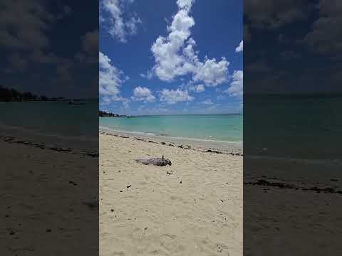 Beach life on sunday morning