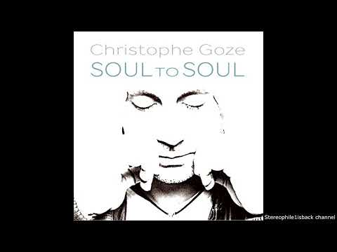 Christophe Goze - The Nightfly (2022)