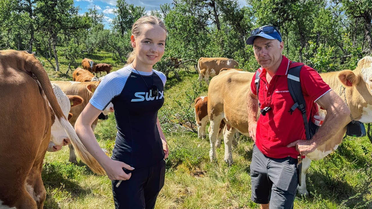 Utmarksbeite – naturens klasserom for fremtidens fjøs