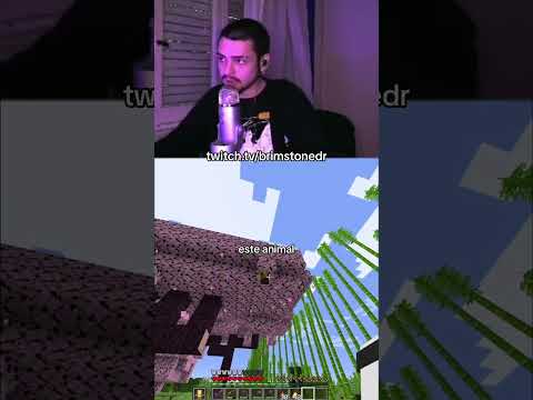 brimstone -  What happens???  |  Minecraft #shorts #minecraft #twitch #clips #streamer