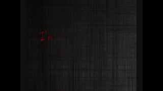 Dead In Love - The Desert Sessions - Lyrics